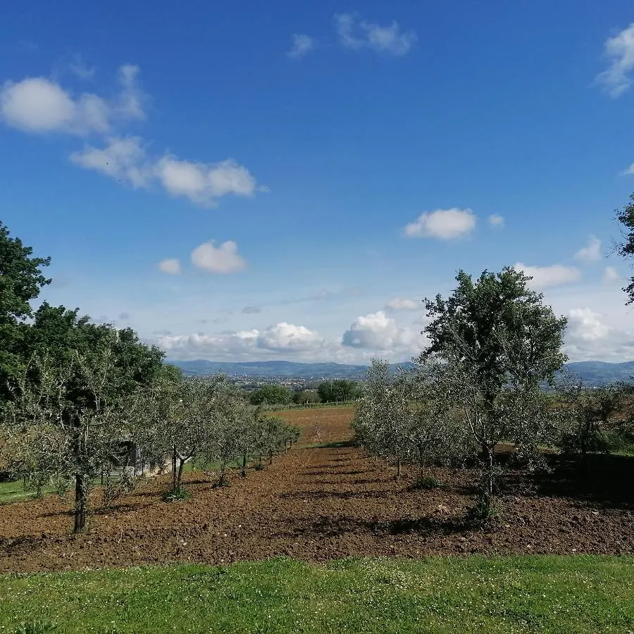 Il Corbezzolo Hotel Bettona Affittacamere